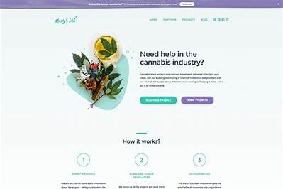 Cannabis Website Design: Elevating Your Brand in the Cannabis Industry