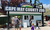 Cape May Zoo Veterinarian Death Cause and Obituary: Dr Alexander Ernst Death - Sarkariresult