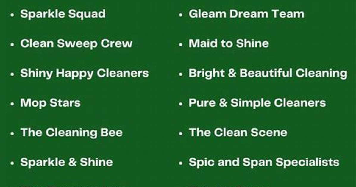 Captivating Cleaning Company Names For