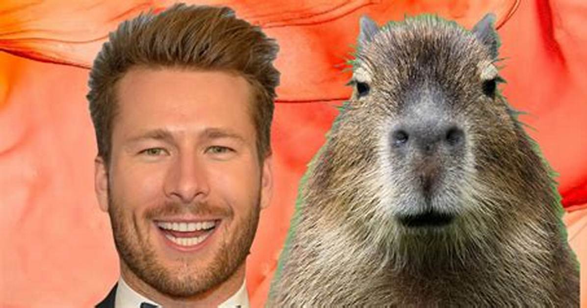 Capybara Glen Powell: the Fascinating Connection Between a Hollywood Star and the World's Largest Rodent