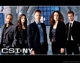 Cast for Csi Ny: Exploring the Iconic Characters and Their Impact