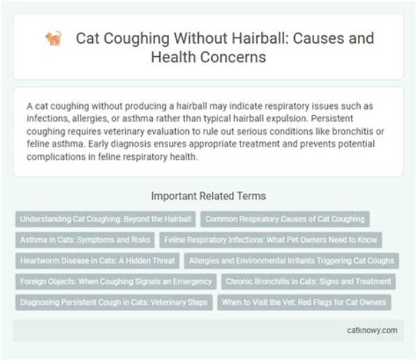 Cat Coughing but No Hairball: Causes, Symptoms, and Treatment