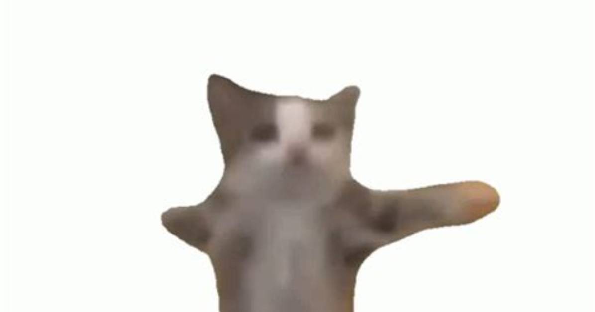 Cat Gif Dance: the Ultimate Guide to Feline Fun on the Internet