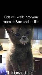 Cat I Frowed up: a Comprehensive Guide to Understanding and Caring for Your Frowning Feline