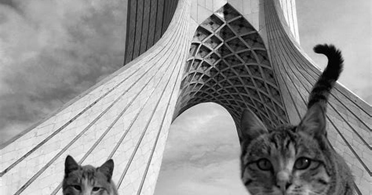 Cats in Iran: a Fascinating Look at Their Role in Iranian Culture and Society