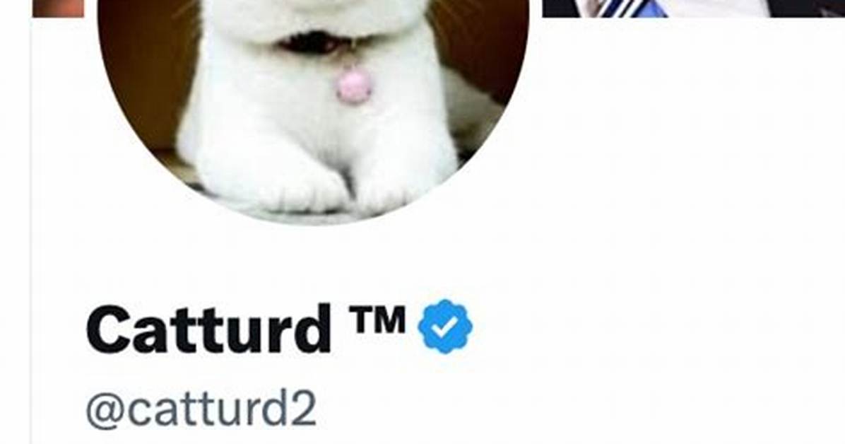 Catturd Truth Social: Unveiling the Revolutionary Social Media Platform