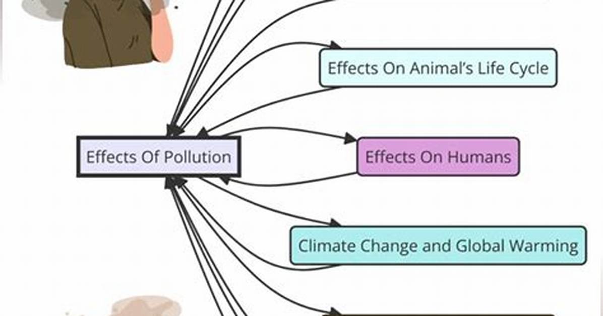 Causes Effects Of