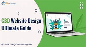 Cbd Website Design Company: Your Ultimate Guide to Expert Web Solutions