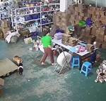 Cctv Idiots: Hilarious Twitter Fails!