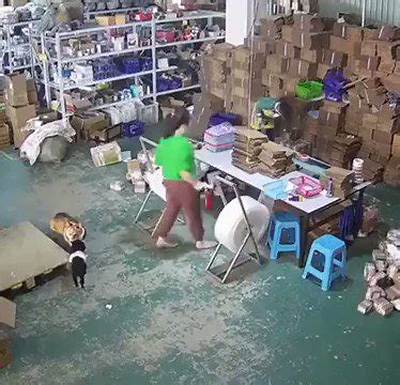 Cctv Idiots: Hilarious Twitter Fails!