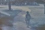 Cctv Image of Elise Dallemagne, One of Seven Dead Koh Tao Thailand Tourists |