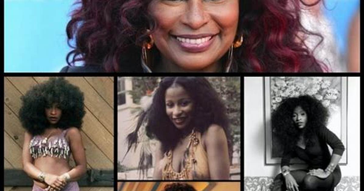 Chaka Khan S Real Hair Stunning