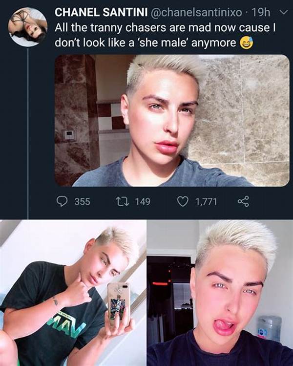 Chanel Santini Detransition: a Comprehensive Guide to Understanding Her Journey