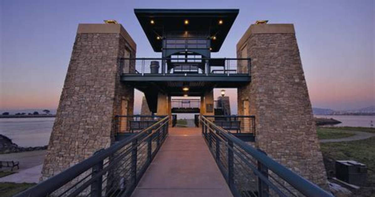 Chappell Hayes Observation Tower: a Majestic Viewpoint in the Heart of Nature