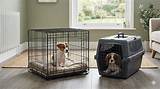 Choosing the Perfect Crate for Small Dogs: a Comprehensive Guide