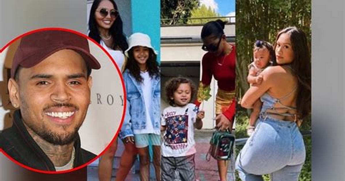 Chris Brown: Meet the Mothers of His Children