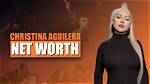 Christina Grisanti Net Worth