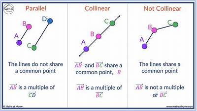 Collinear Points That Form Unique Lines Calculator
