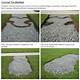 Common Repairs for a Gravel Driveway