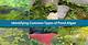 Common Types of Pond Water Algae