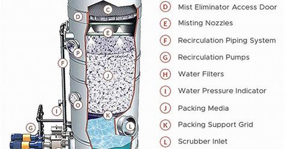 Components of a Wet