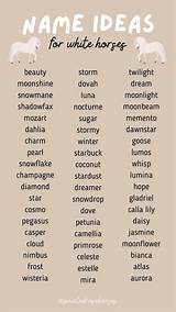 Creative Names for Horses That Are White: a Comprehensive Guide
