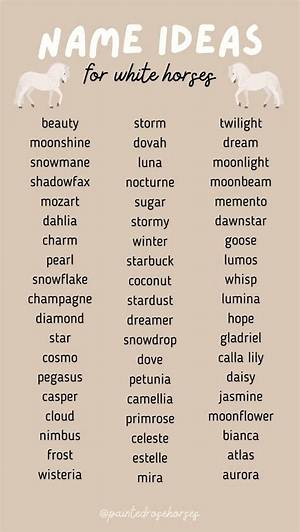 Creative Names for Horses That Are White: a Comprehensive Guide