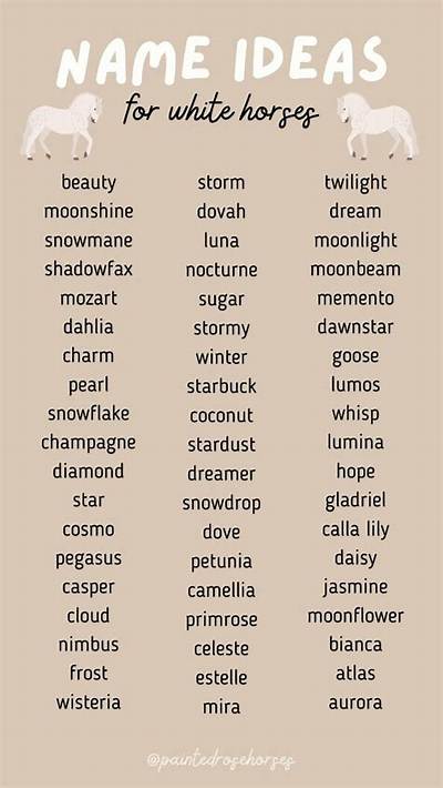 Creative Names for Horses That Are White: a Comprehensive Guide