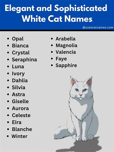 Creative White Cat Names: a Comprehensive Collection