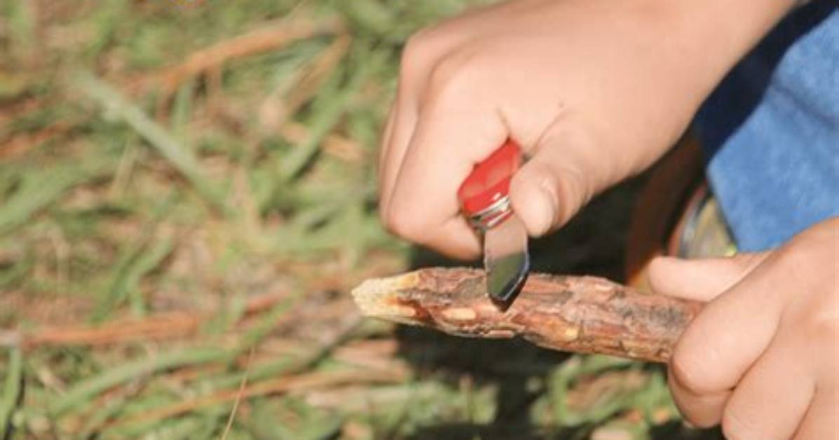 Cub Scout Whittling
