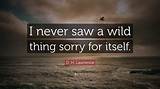 D. H. Lawrence: 'I Never Saw a Wild Thing Sorry for Itself. a Small Bird Will Drop Frozen Dead from a Bough Without Ever Having Felt Sorry for Itself.'