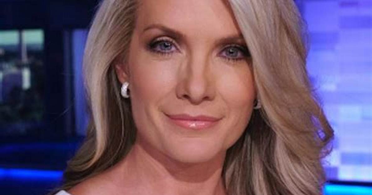 Dana Perino Net