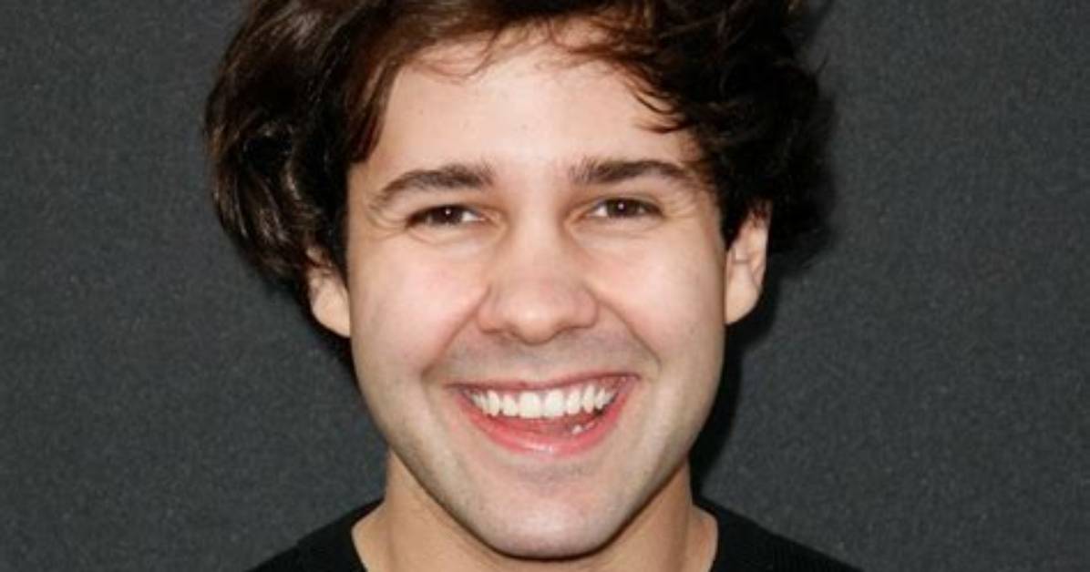 David Dobrik Net