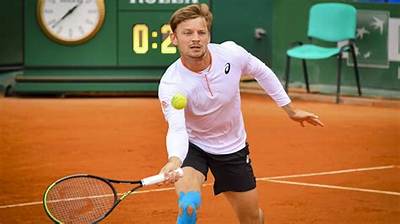 David Goffin Net Worth