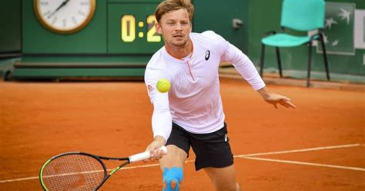 David Goffin Net