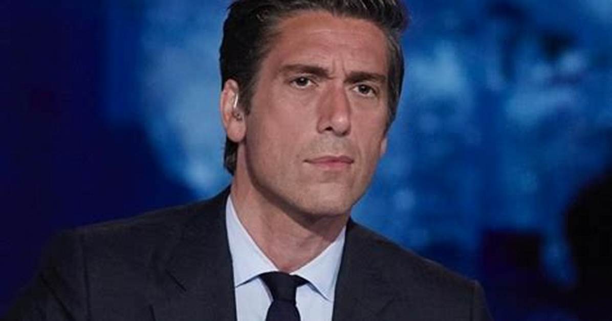 David Muir Wikipedia: Biography & Career Highlights