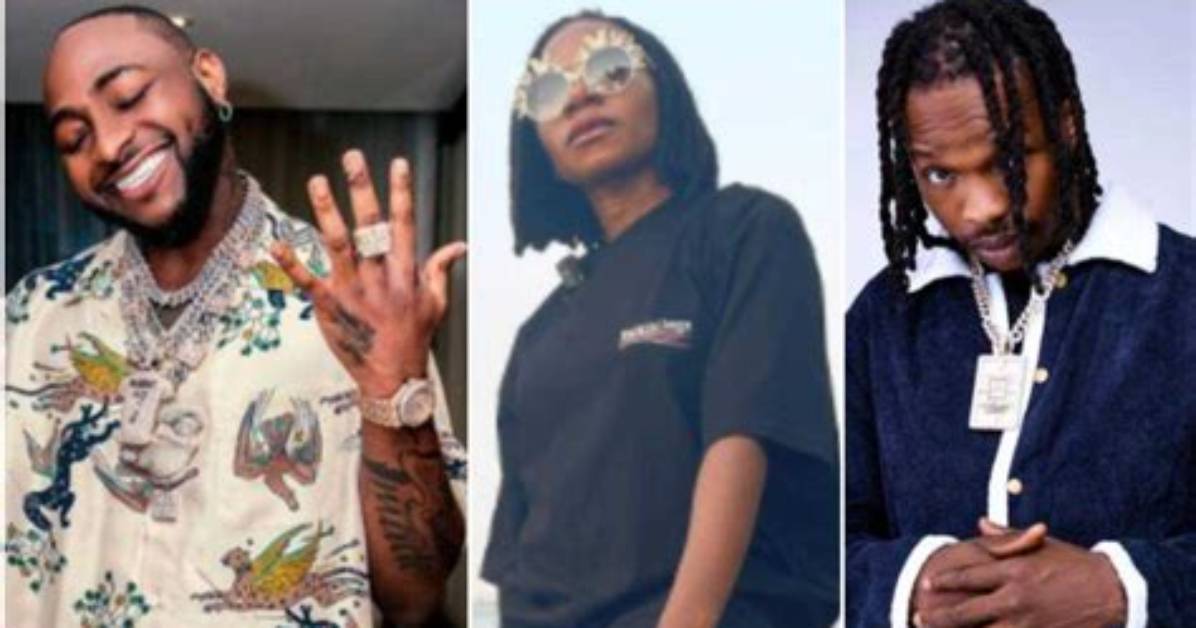 Davido Naira Marley Asa 7 Other Nigerian Celebrities with Dual Citizenship and Their