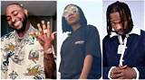 Davido, Naira Marley, Asa, 7 Other Nigerian Celebrities with Dual Citizenship and Their Other Countries