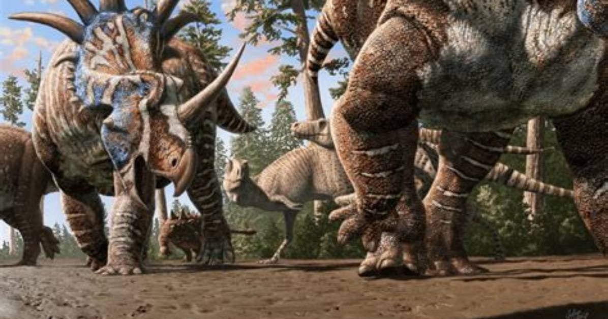 Did Dinosaurs Move in Herds?