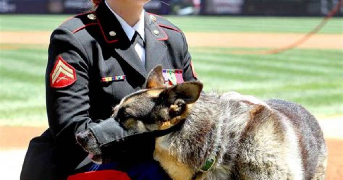 Did Megan Leavey and Sgt. Eric Morales Marry? - the Truth Revealed
