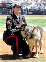 Did Megan Leavey and Sgt. Eric Morales Marry? - the Truth Revealed