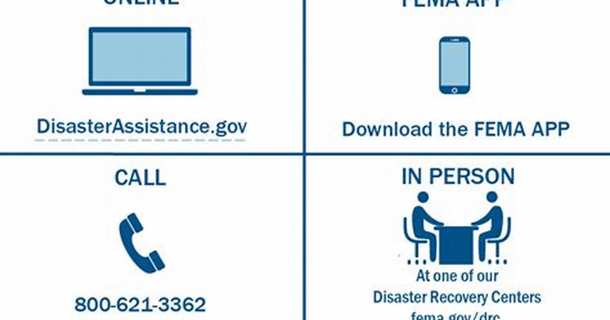 Did Ny Apply for Fema Assistance?