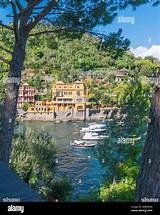 Did Rose Pass Away in Hotel Portofino? What Happened to Rose? Actor Playing Rose in Hotel Portofino - Sarkariresult