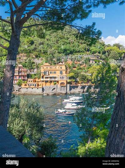 Did Rose Pass Away in Hotel Portofino? What Happened to Rose? Actor Playing Rose in Hotel Portofino - Sarkariresult