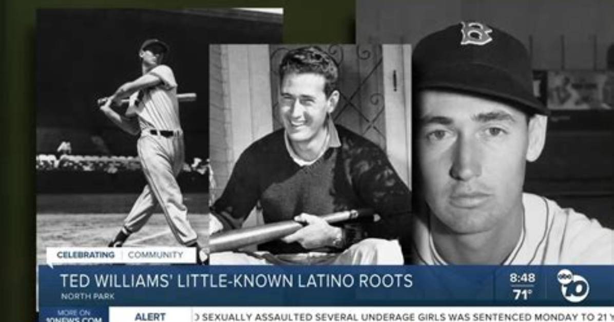 Did Ted Williams Shoot Down Any Planes?