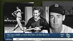 Did Ted Williams Shoot Down Any Planes?