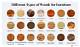 Different Types of Wood in the Caribbean