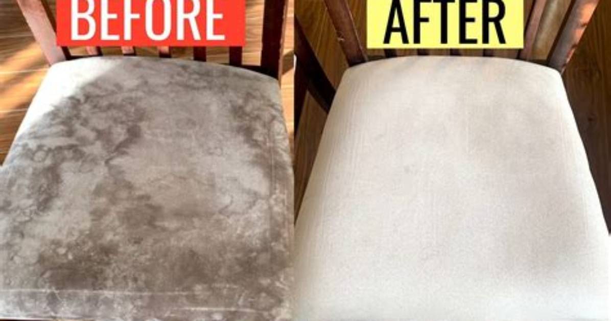 Dining Chair Stain