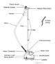 Directions for a Home Touch Steamer