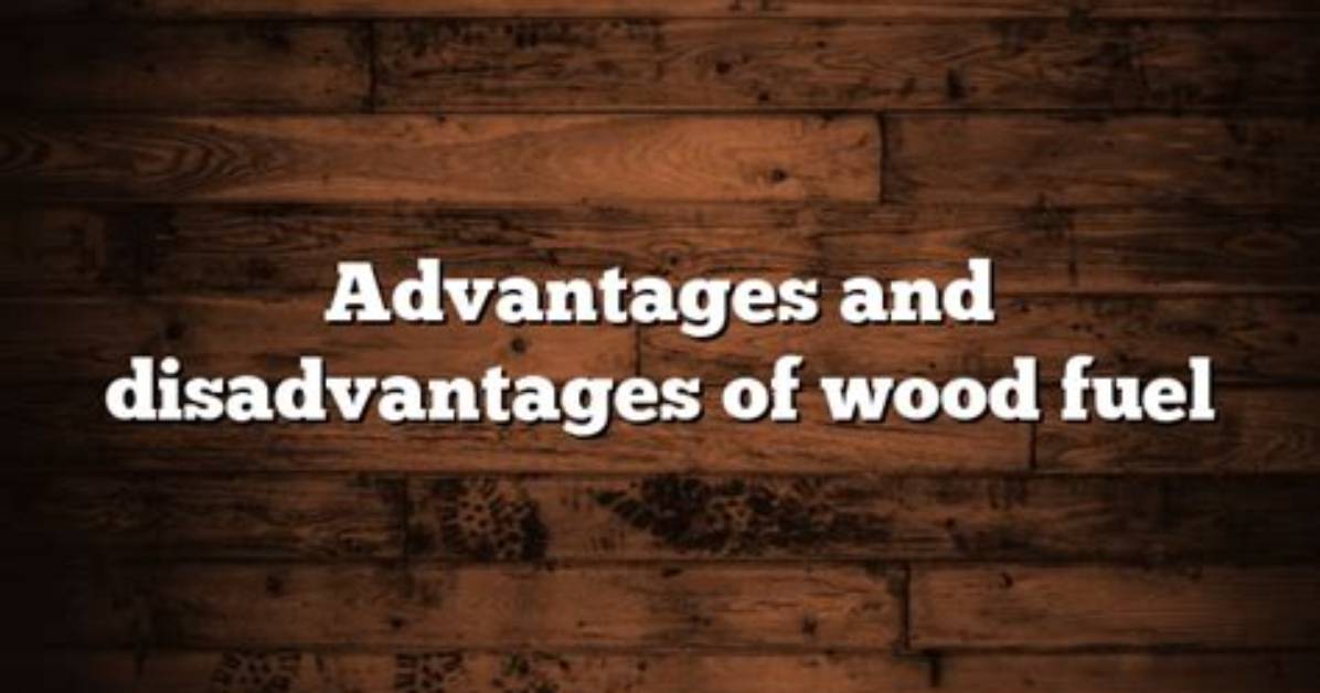 Disadvantages of Burning Wood | Homesteady